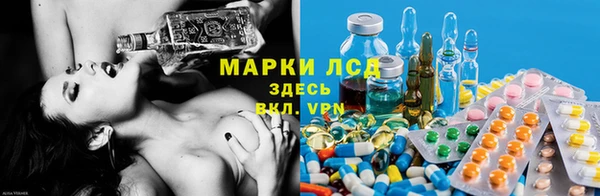 2c-b Белокуриха