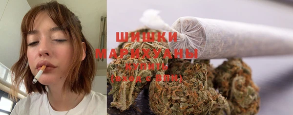 молекула духа Богородицк