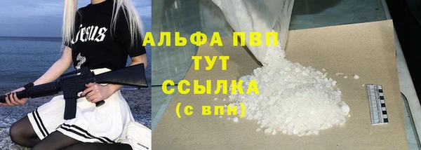 стаф Белоозёрский