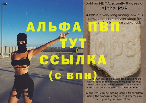 молекула духа Богородицк