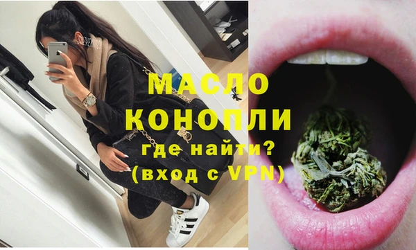 молекула духа Богородицк