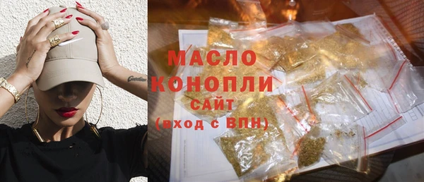 молекула духа Богородицк